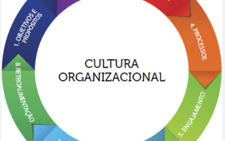 Cultura organizacional: por que ela não se declara, se repete no cotidiano da empresa
